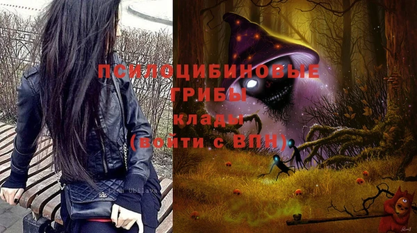 spice Дмитровск