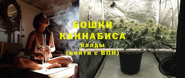 хмурый Дмитриев