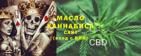хмурый Дмитриев