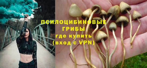 spice Дмитровск