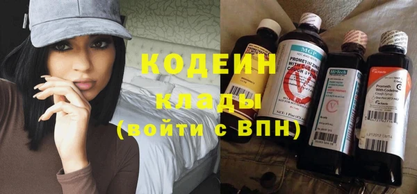 хмурый Дмитриев